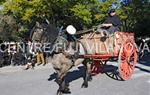 Tres Tombs Vilanova i la Geltrú