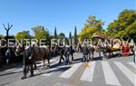 Tres Tombs Vilanova i la Geltrú