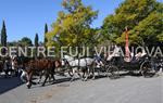 Tres Tombs Vilanova i la Geltrú