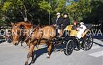 Tres Tombs Vilanova i la Geltrú