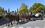 Tres Tombs Vilanova i la Geltrú