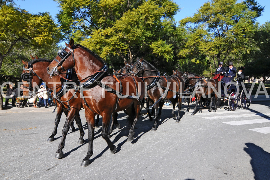 Tres Tombs Vilanova i la Geltrú. Tres Tombs Vilanova i la Geltrú