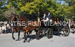 Tres Tombs Vilanova i la Geltrú