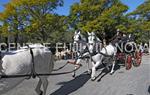 Tres Tombs Vilanova i la Geltrú