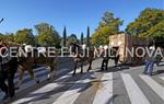 Tres Tombs Vilanova i la Geltrú