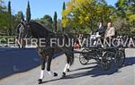 Tres Tombs Vilanova i la Geltrú