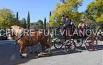 Tres Tombs Vilanova i la Geltrú