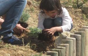 EIX. 250 plantes aromàtiques i una alzina per commemorar els 20 anys de Nou Verd