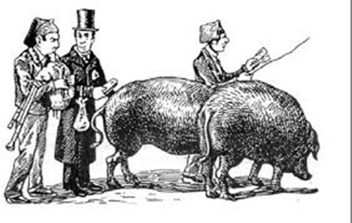 La Rifa del porc al Vendrell