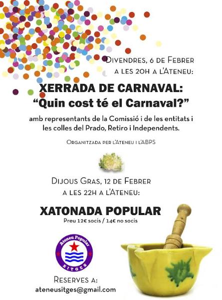Xerrada Quin cost té el Carnaval?