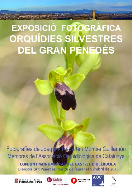 Orquídies Silvestres del Gran Penedès