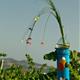 Montse+Bolet+presenta+Loop+Nature