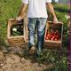 Mercat+de+la+Terra+Slow+Food+a+Sitges