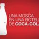 Cinef%c3%b2rum+Una+Mosca+en+una+botella+de+Coca+Cola