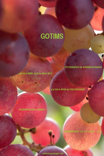 Exposició Gotims del fotògraf Robbie Kavanagh