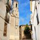 +Visita+guiada+a+la+Geltr%c3%ba+Mil%c2%b7len%c3%a1ria+