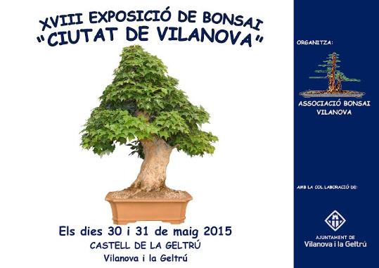 XVIII Exposició de Bonsai 'Ciutat de Vilanova'