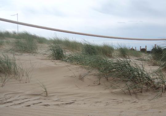 III Setmana del Voluntariat Ambiental: Cuidem les dunes de Cunit