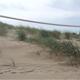 III+Setmana+del+Voluntariat+Ambiental%3a+Cuidem+les+dunes+de+Cunit