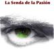 Presentaci%c3%b3+del+llibre+%22Involuci%c3%b3n%2c+la+senda+de+la+pasi%c3%b3n%22