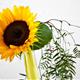 Loop+Nature%2c+intervenci%c3%b3+floral+de+Montse+Bolet+per+celebrar+el+solstici+d%e2%80%99estiu