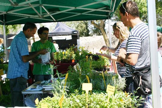 Remeiart, fira sobre les herbes remeieres