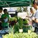 Remeiart%2c+fira+sobre+les+herbes+remeieres