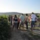 Itinerari+guiat+entre+vinyes+a+Sant+Pau
