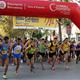 Milla+Catalana+de+Vilanova+i+la+Geltr%c3%ba