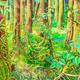 Esperits+de+la+selva