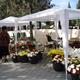 Mercat+de+Flors+de+Tots+Sants+a+Vilafranca