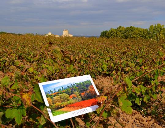 4a Passejada Postals del Penedès