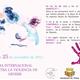 Dia+Internacional+contra+la+Viol%c3%a8ncia+de+G%c3%a8nere+a+L%e2%80%99Arbo%c3%a7