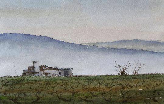 Penedès terra de vinyes i vi, de Màrius Via