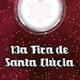 13a+Fira+de+Santa+Ll%c3%bacia+a+Canyelles+