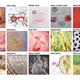 Exposici%c3%b3++%e2%80%9cEls+colors+del+vi%e2%80%9d