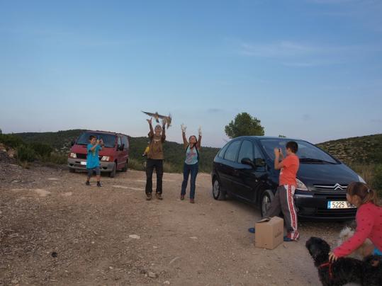 Alliberament xots i falcons a Canyelles. Ajuntament de Canyelles