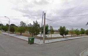 Arbres talats