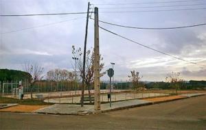 Arbres talats