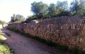 Eix. Camí Ral al Vendrell