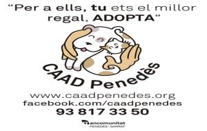 Campanya del CAAD Penedès per promoure l’adopció dels gossos i gats acollits al centre. EIX