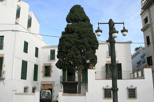 Eix. Can Falç