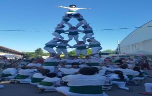 Cap de setmana intens per al Falcons de Vilafranca