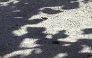 Deposicions de gossos al parc infantil de darrera l'Hospital de Sitges