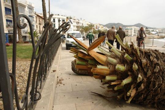 Ajuntament de Sitges. Destrosses a Sitges a causa del fort vent