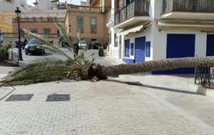 Destrosses a Sitges a causa del fort vent