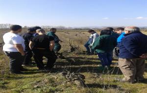 Ajuntament de Vilafranca. El PTT dauxiliar de vivers i jardins i la Casa dOficis De la terra tenen cura duna vinya gestionada pel VINSEUM
