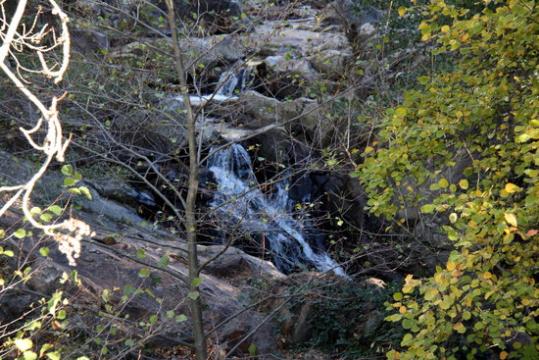 El riu Muga, una de les tres conques fluvials que s'estan analitzant en Life 'MEDACC' - amb el nom d''Adaptant la Mediterrània al Canvi Climàtic'. ACN