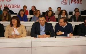 El secretari general del PSOE, Pedro Sánchez, al comitè federal del Partit Socialista. ACN/ Xavier Vallbona