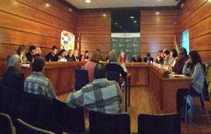 Ivet Carbajo. El Vendrell aprova el pressupost del 2015 i el Projecte Educatiu de la Ciutat